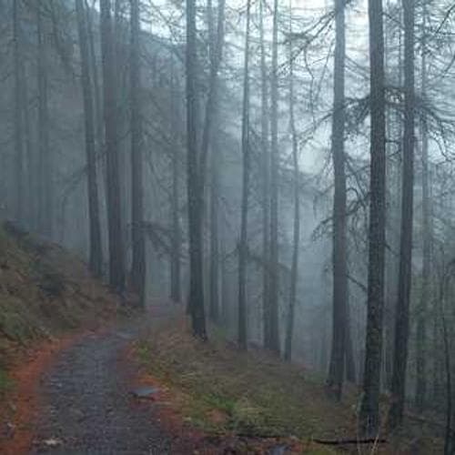 Watch The Potter's Hub reel on Instagram