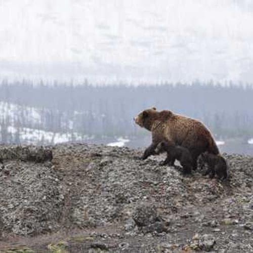 Watch Crafted by Heart reel on Instagram